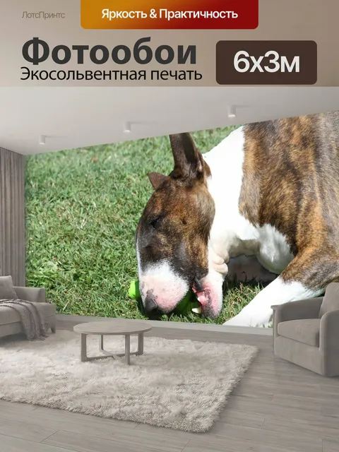 600 × 300 см · Экосольвентная печать