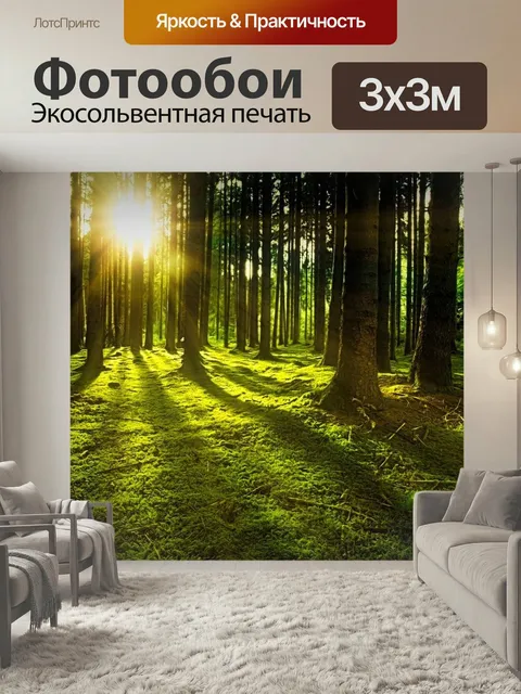 Фотообои Деревья, мох, лес