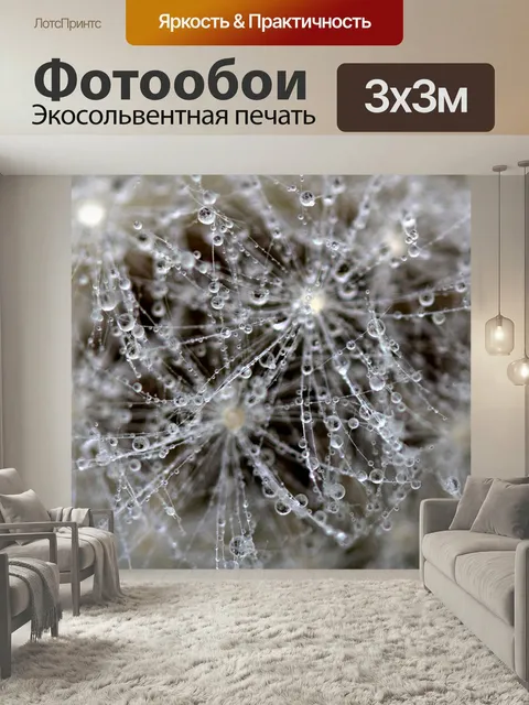 Фотообои Одуванчик, капли, мокрый