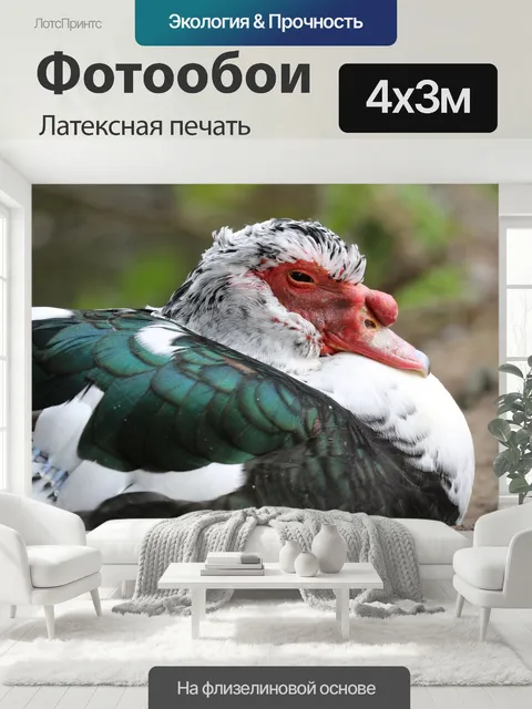 400 × 300 см · Латексная печать