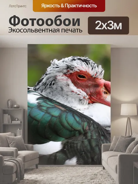 200 × 300 см · Экосольвентная печать