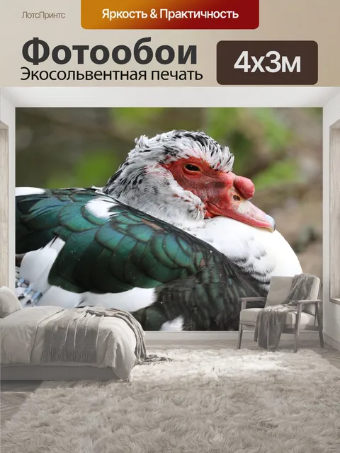 400 × 300 см · Экосольвентная печать