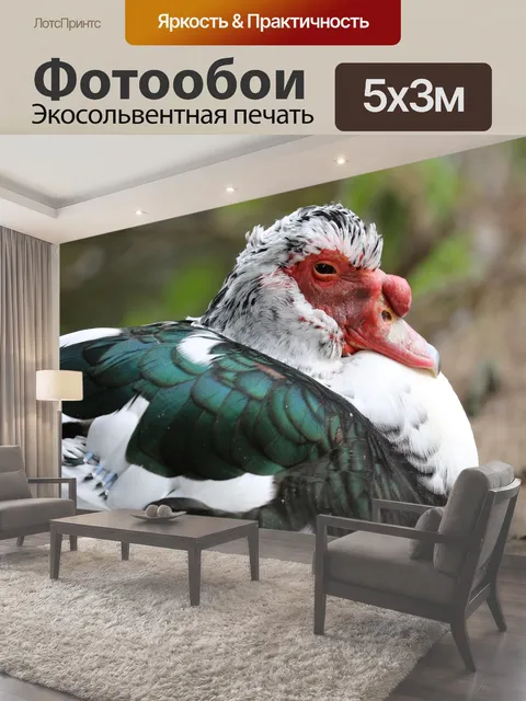 500 × 300 см · Экосольвентная печать