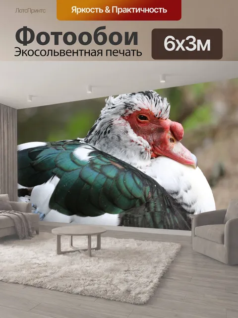 600 × 300 см · Экосольвентная печать