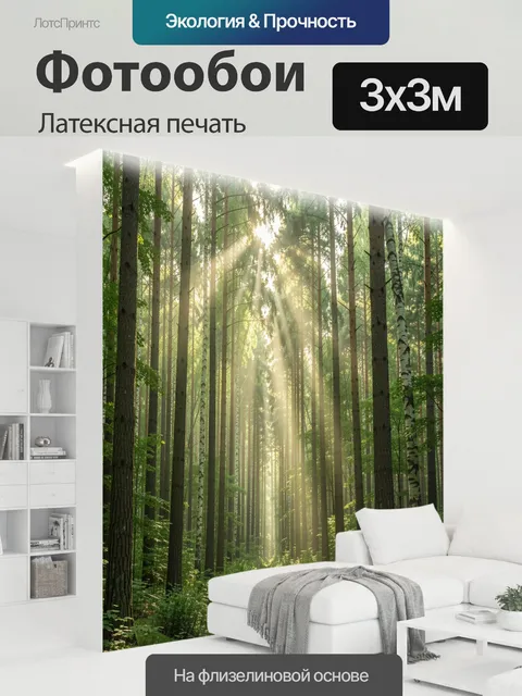 300 × 300 см · Латексная печать