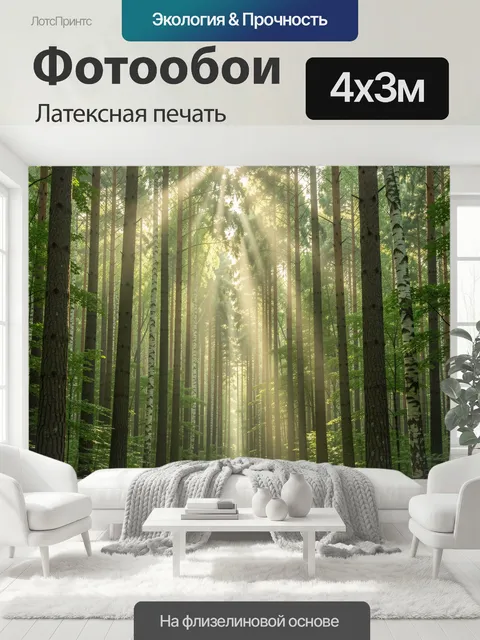 400 × 300 см · Латексная печать