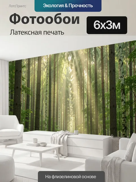 600 × 300 см · Латексная печать
