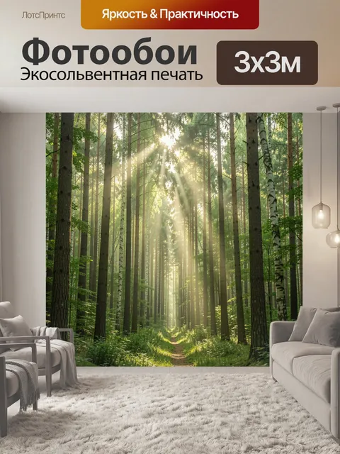 Фотообои Солнечная тропа в лесу. Тихий хвойный лес: высокие деревья, мягкие солнечные лучи сквозь листву, светлая троп…