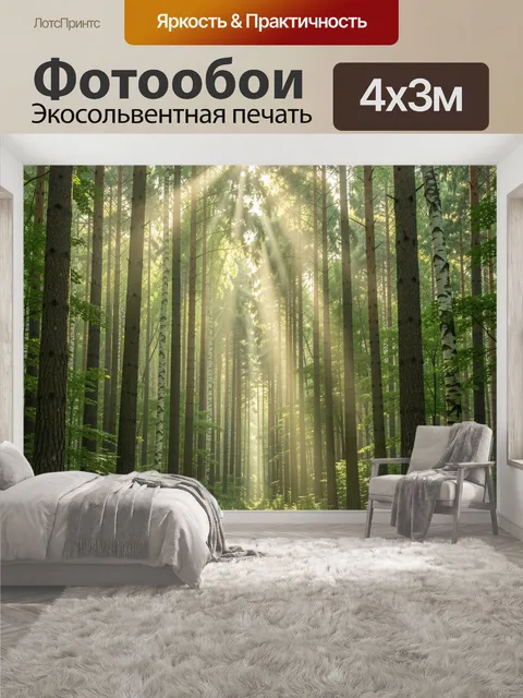 400 × 300 см · Экосольвентная печать