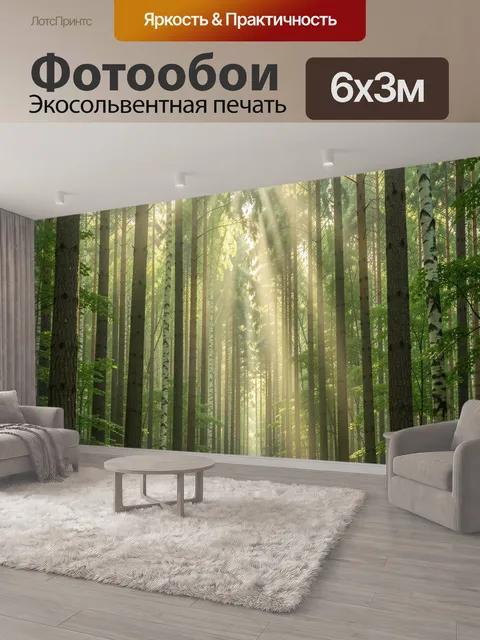 600 × 300 см · Экосольвентная печать