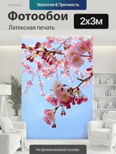 200 × 300 см · Латексная печать