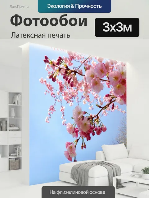 300 × 300 см · Латексная печать