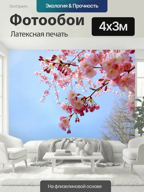 400 × 300 см · Латексная печать