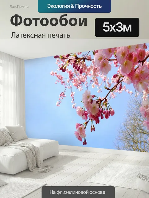 500 × 300 см · Латексная печать