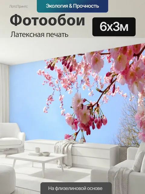 600 × 300 см · Латексная печать