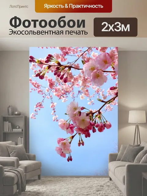 200 × 300 см · Экосольвентная печать
