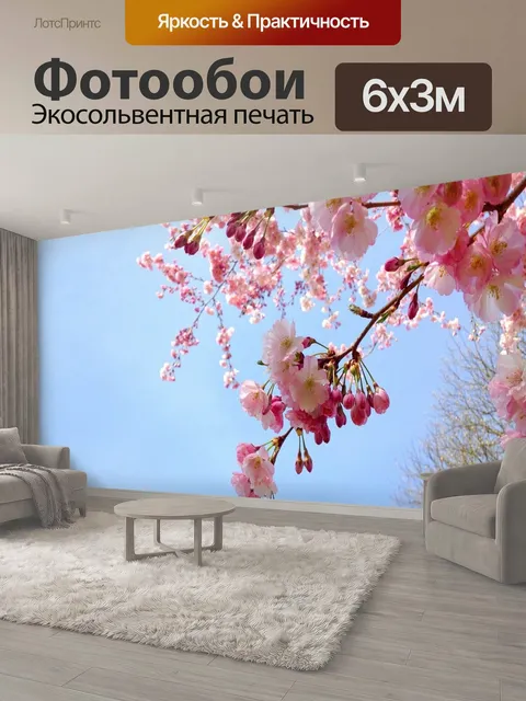600 × 300 см · Экосольвентная печать