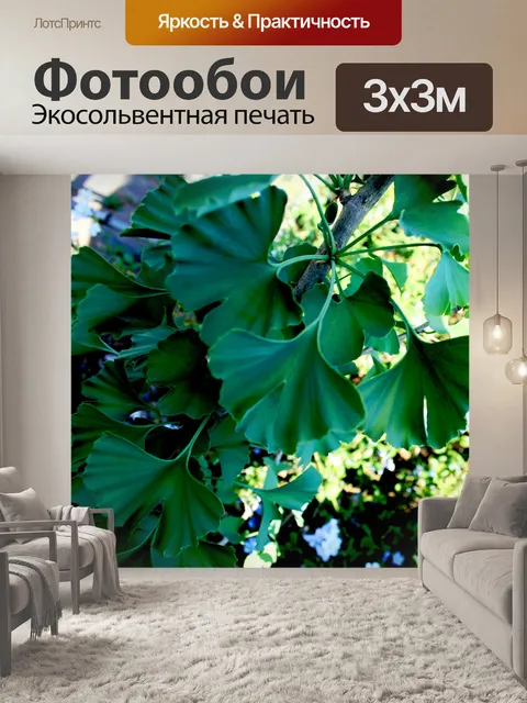 Фотообои Дерево гинкго билоба листьев дерева гинкго билоба листья зеленые лопастные широкие сложенные форме веера сад