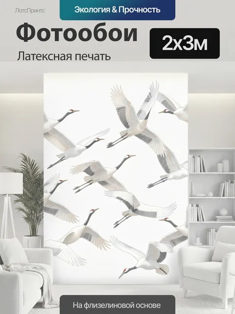 200 × 300 см · Латексная печать