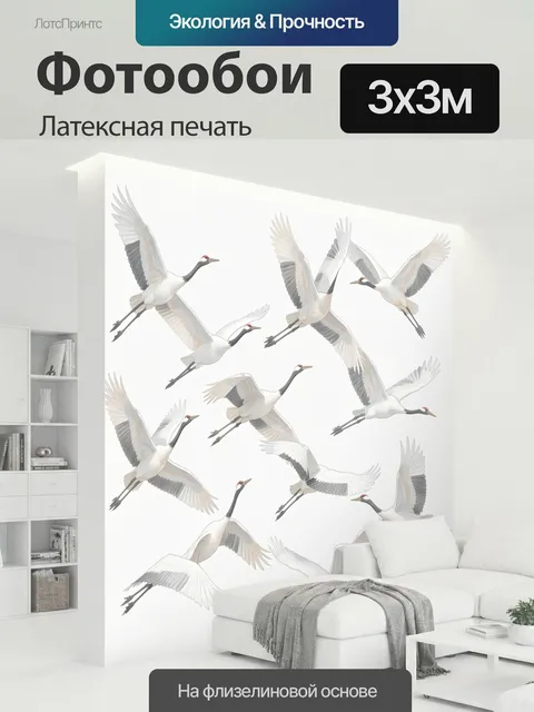300 × 300 см · Латексная печать