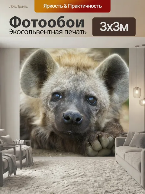 Фотообои Гиена, детеныш, закрыть