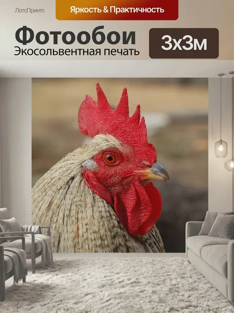 Фотообои Животные, птицы, петух