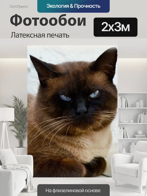 200 × 300 см · Латексная печать