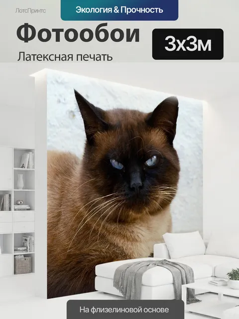 300 × 300 см · Латексная печать