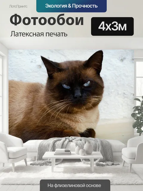 400 × 300 см · Латексная печать