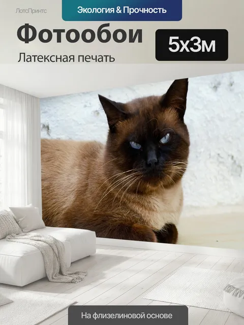 500 × 300 см · Латексная печать