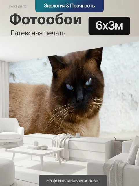 600 × 300 см · Латексная печать