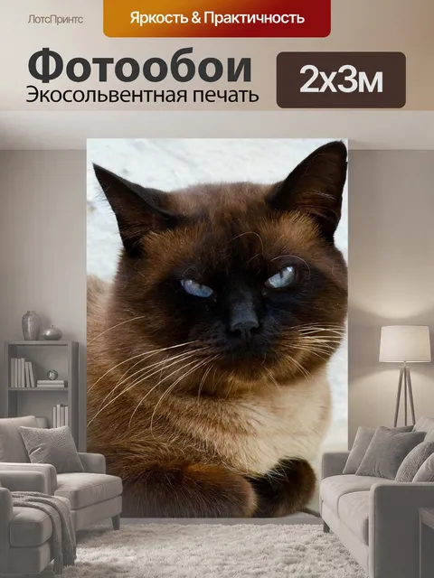 200 × 300 см · Экосольвентная печать