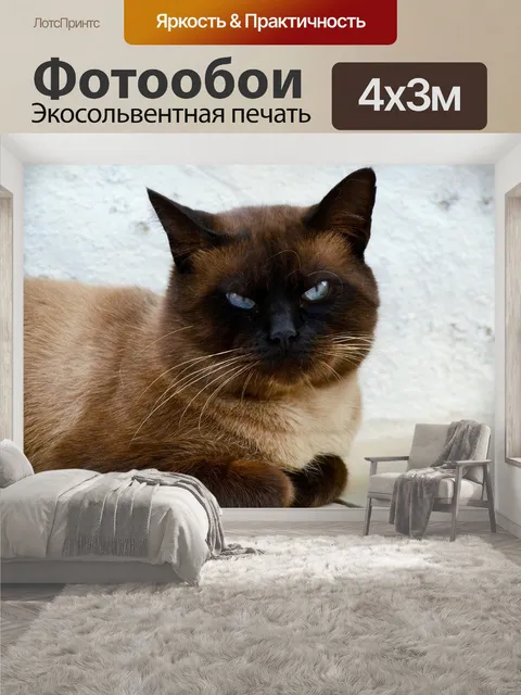 400 × 300 см · Экосольвентная печать