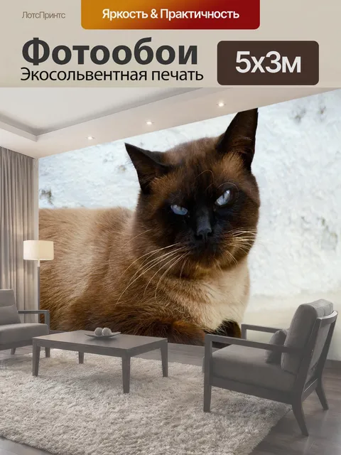 500 × 300 см · Экосольвентная печать