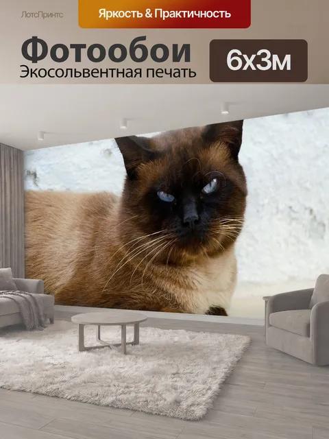 600 × 300 см · Экосольвентная печать