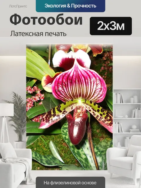 200 × 300 см · Латексная печать