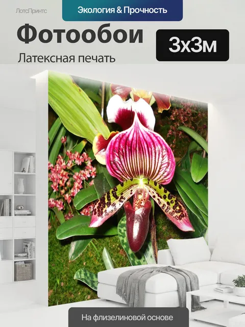 300 × 300 см · Латексная печать