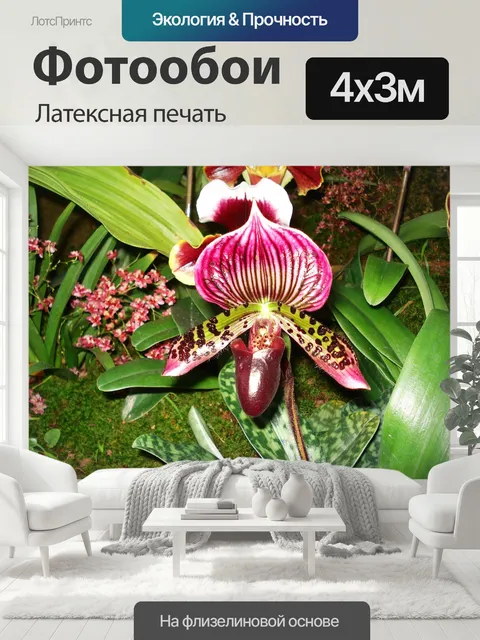 400 × 300 см · Латексная печать
