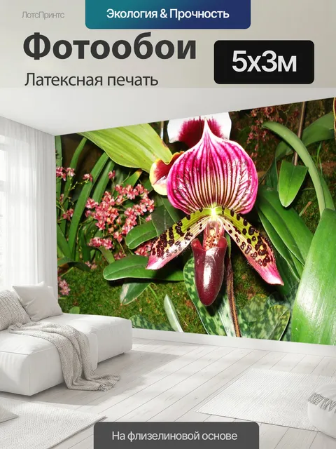 500 × 300 см · Латексная печать
