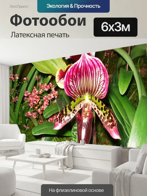 600 × 300 см · Латексная печать