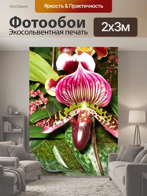 200 × 300 см · Экосольвентная печать