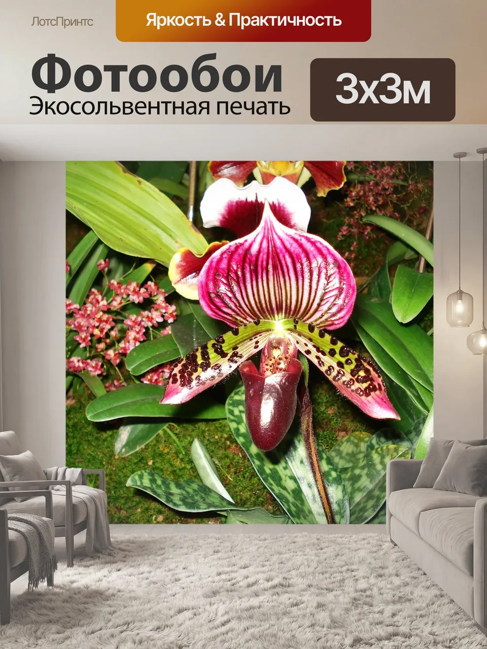 Фотообои Орхидея, paphiopedilum, paphio