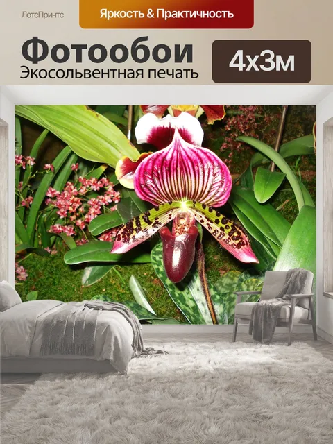 400 × 300 см · Экосольвентная печать