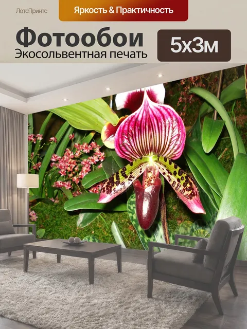 500 × 300 см · Экосольвентная печать