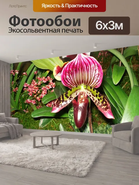 600 × 300 см · Экосольвентная печать