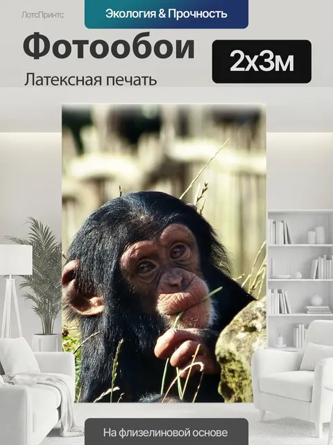 200 × 300 см · Латексная печать