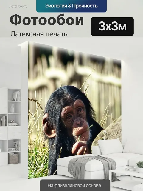 300 × 300 см · Латексная печать