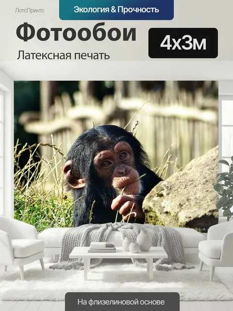 400 × 300 см · Латексная печать
