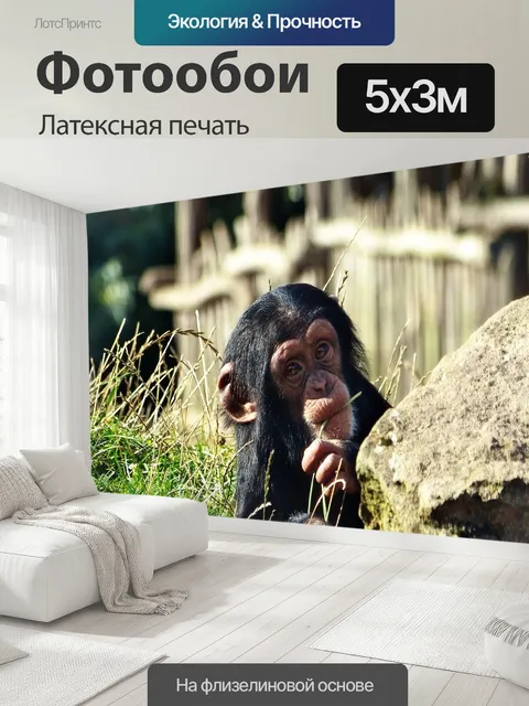 500 × 300 см · Латексная печать