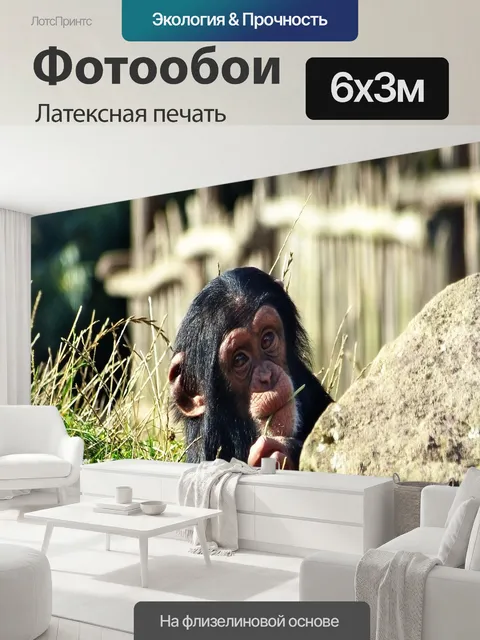 600 × 300 см · Латексная печать